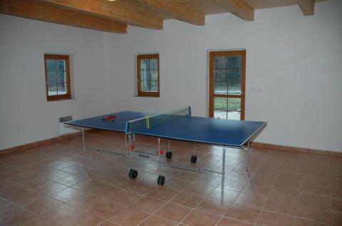 008 ping-pong
